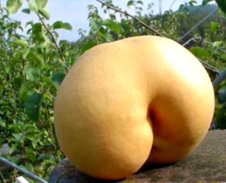 nature-is-sexy (4)