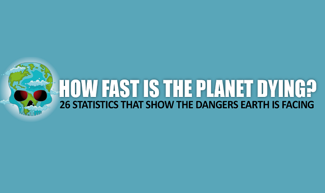 How Fast is the Planet Dying? 26 Eye-Opening Statistics