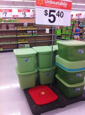 Professional Organizer houston, -organizing on a budget.