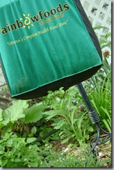 hanging grocery-bag tomatoes