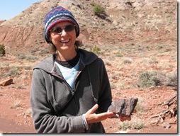 2012-04-15 Petrified Wood, Fry Canyon, UT (30)