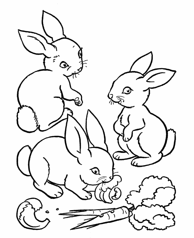 Download Free Cute Rabbit Coloring Pages To Print For Kids