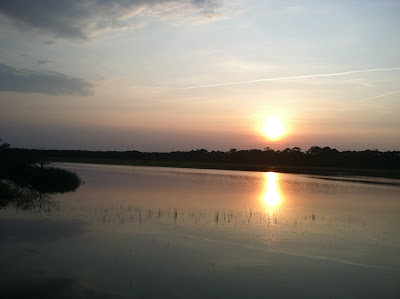 8 Things to Do with Kids in Edisto Island, SC | The Lowcountry Lady