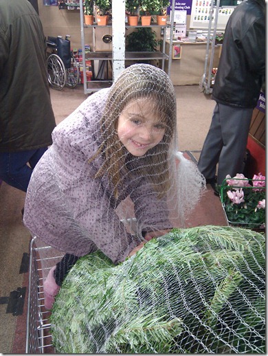IMG_20101212_153837