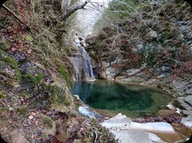 IMG_0009