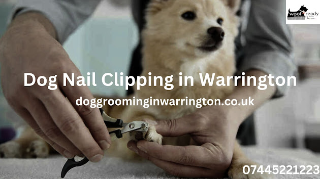 Ultrasonic Teeth Cleaning in Warrington
