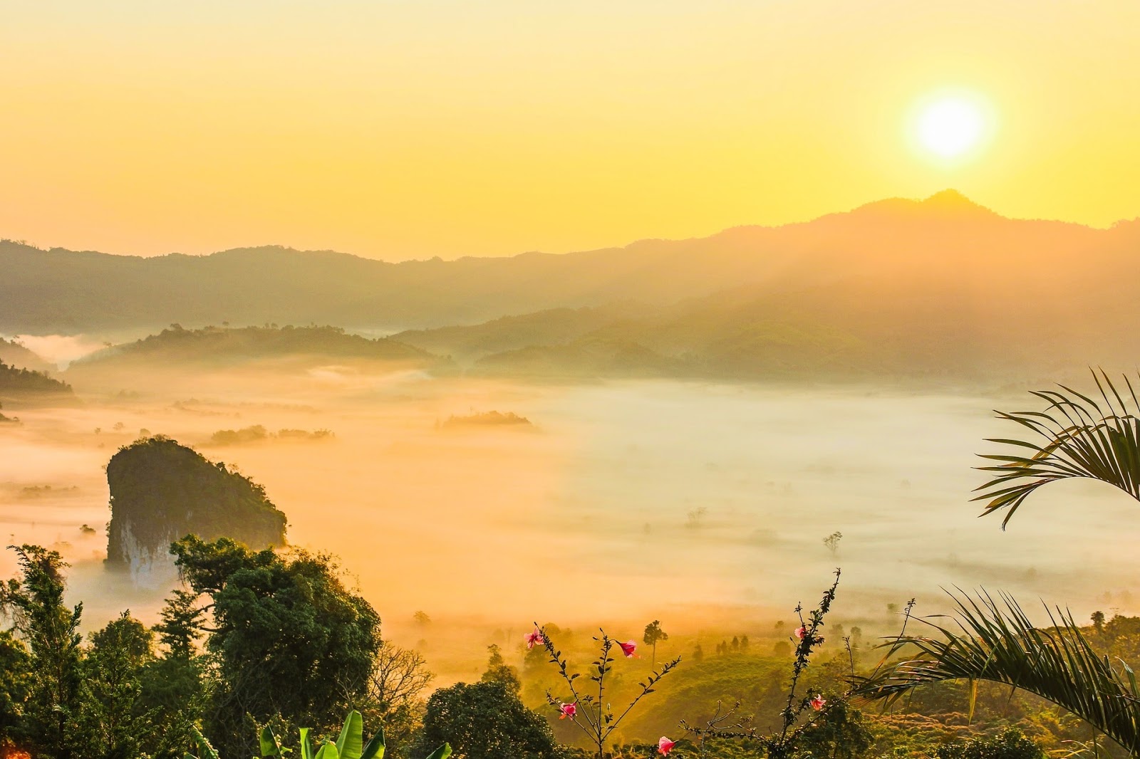 Gambar Pemandangan Pagi Yang Indah