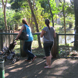View album
