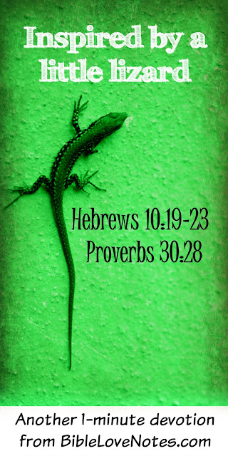 I love how God speaks to us through everyday occurrences like this tiny lizard who scurried into my house today. #BibleLoveNotes #Bible