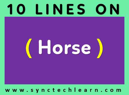 Few lines on horse