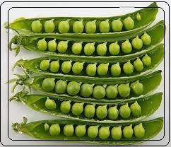 about pea