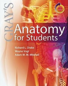 Gray’s Anatomy For Students