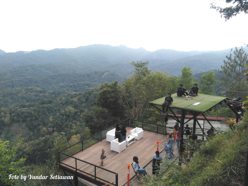 Obyek Wisata Alam Kebun Teh Nglinggo Samigaluh Kulon Progo