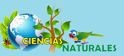 CIENCIAS NATURALES MARCO FIDEL SUAREZ JT