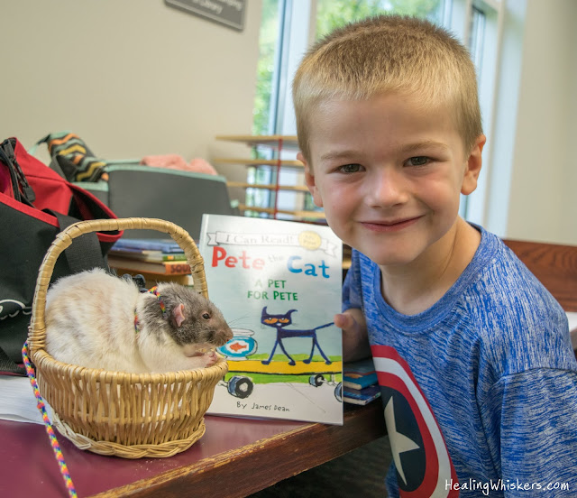 Vincent the Therapy Rat reading with kids at the Chattooga County Library