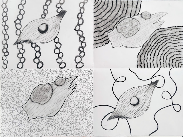 This is an image of four thumbnail drawings for professor Dawn Hunter's In Line with Nature Assignment.