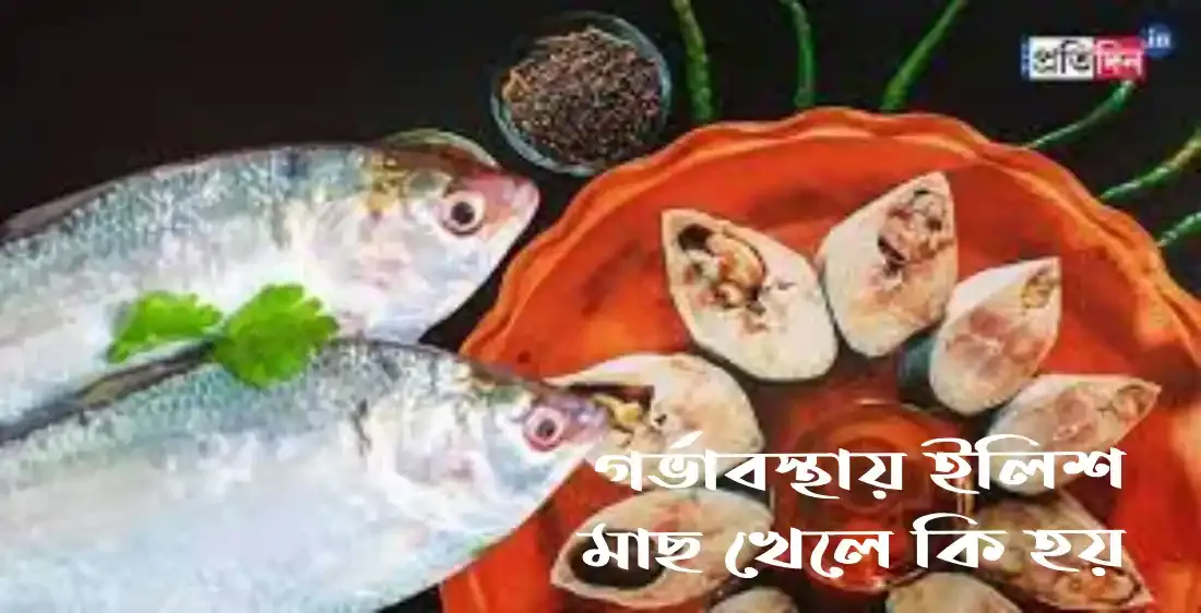 গর্ভাবস্থায় ইলিশ মাছ খেলে কি হয়
