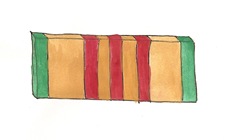 Vietnam Service Ribbon