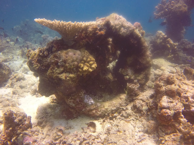 Lagi, Ribuan Benda Berbentuk Batako Ditemukan Di  Laut Kepulauan Selayar