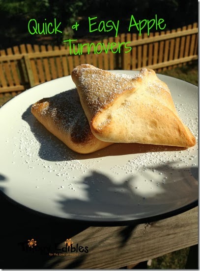 Appleturnovers