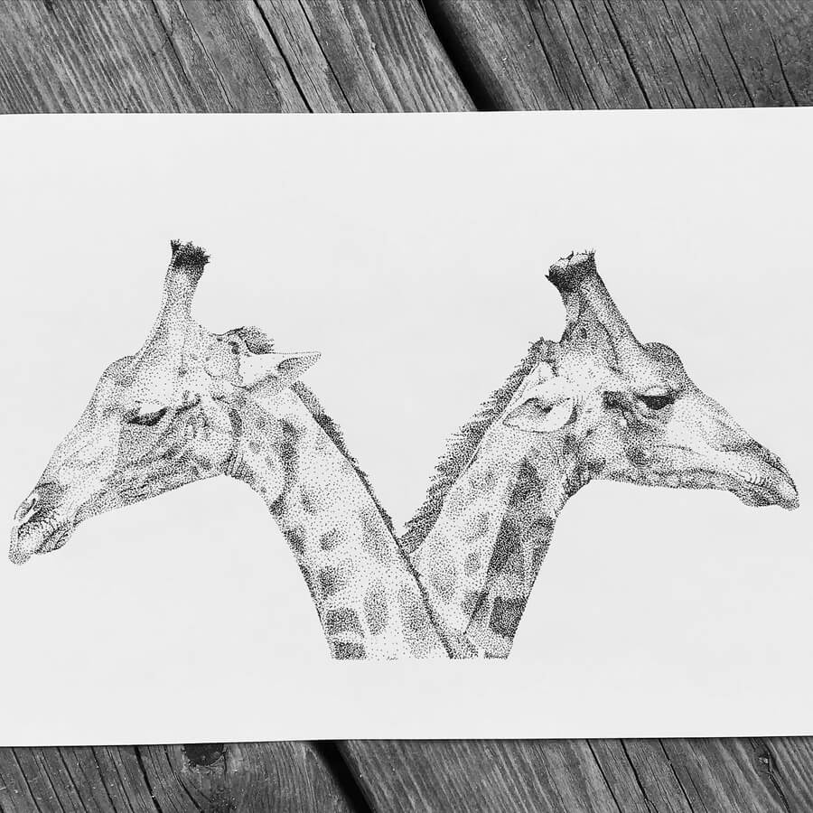 09-Giraffes-Animal-Drawings-Kelsey-Hammerton-www-designstack-co