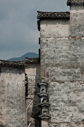 LT1_06867