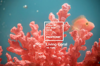 Barva roku 2019, Living coral