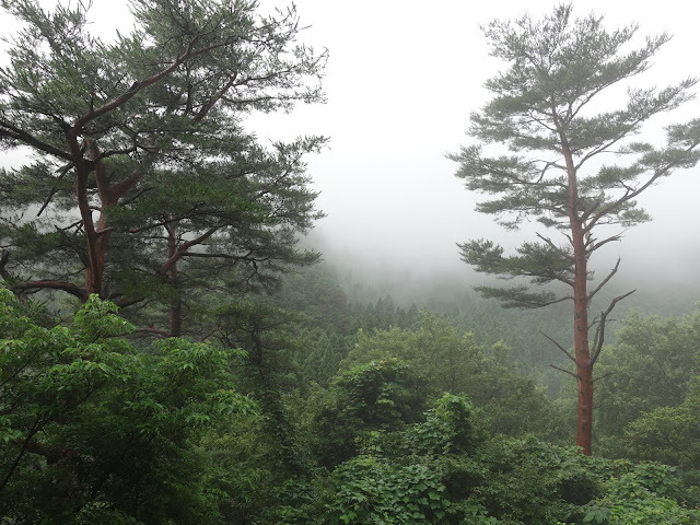 鳥取県道299号赤松淀江線　鳥取県西伯郡大山町今在家