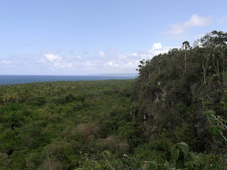 Kuba, Baracoa, Parque de Majayara bei Boca de Miel, Felswand aus Korallenkalk mit Höhlen, archäologische Überreste der Tainos, dicht bewachsene Küstenebene.