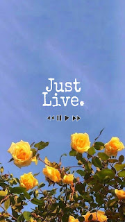 Motivational