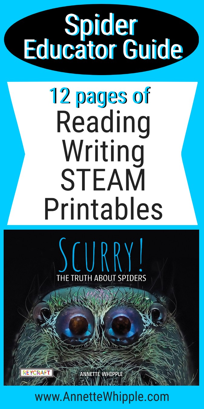 What is STEAM? [An Educator's Guide]