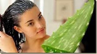 Productos para el Cabello con Aloe Vera3