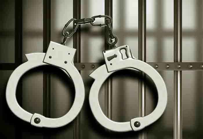 Palakkad, News, Kerala, Arrest, Arrested, Crime, Police, Palakkad: Three people arrested for attack against man.