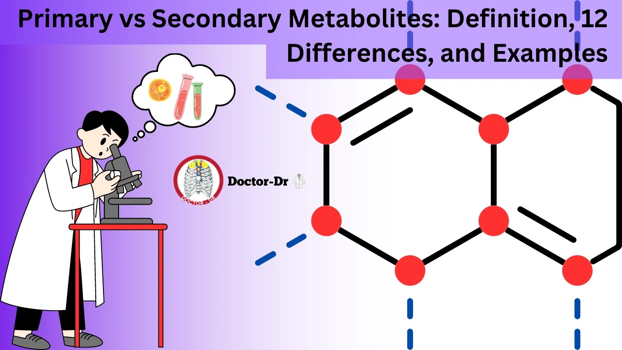 Primary vs Secondary Metabolites: Definition, 12 Differences, and Examples