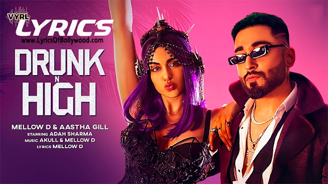 Drunk N High Song Lyrics | Mellow D, Aastha Gill | Adah Sharma | Akull | VYRL Originals