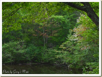changing colors