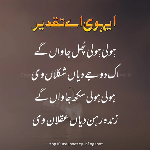 best tariq aziz punjabi poetry  punjabi sad poetry