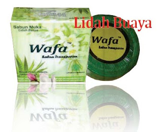 Sabun Wajah Lidah Buaya