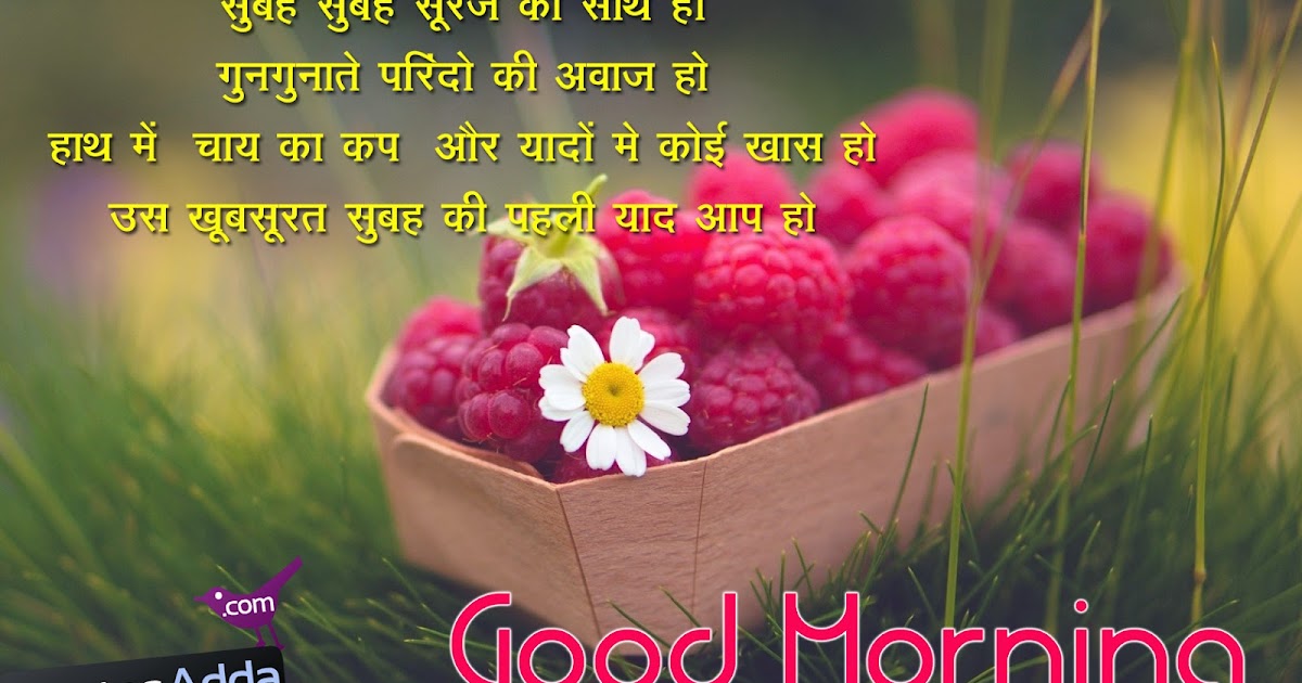 Nice Hindi Fresh Morning Quotes Picture Messages  