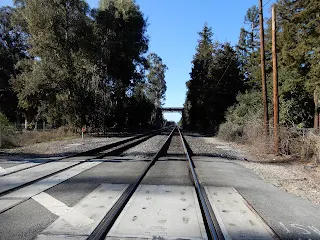 スタンフォードの線路