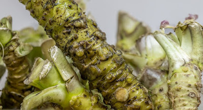 surprising-health-benefits-of-wasabi