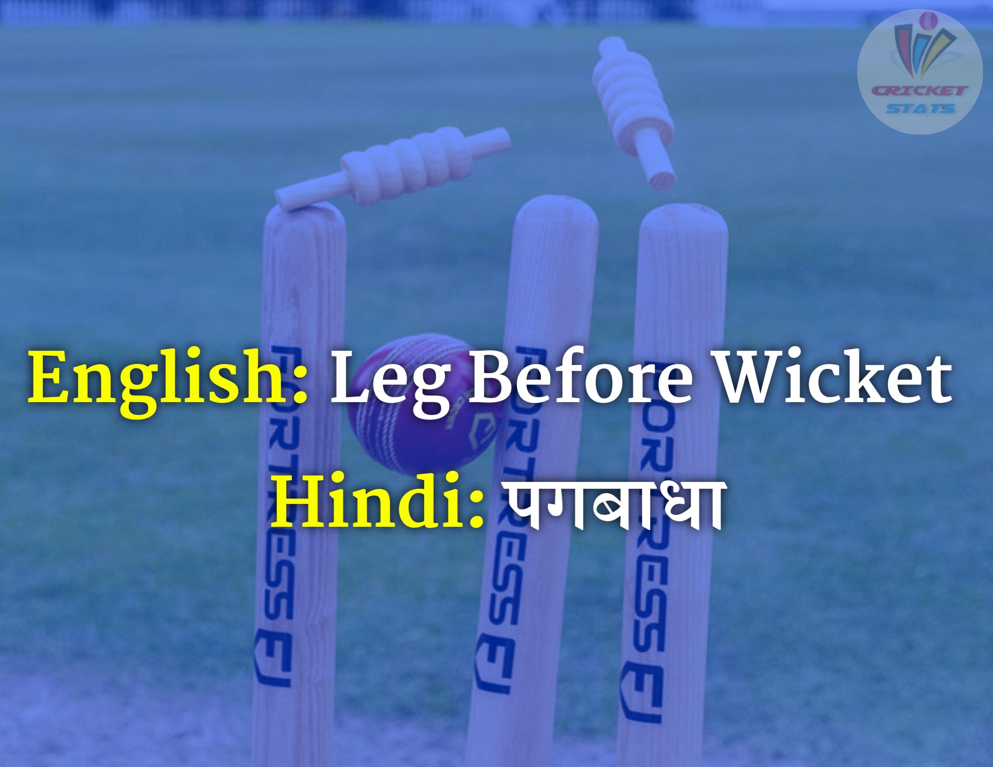 50 english worlds meaning that use in cricket