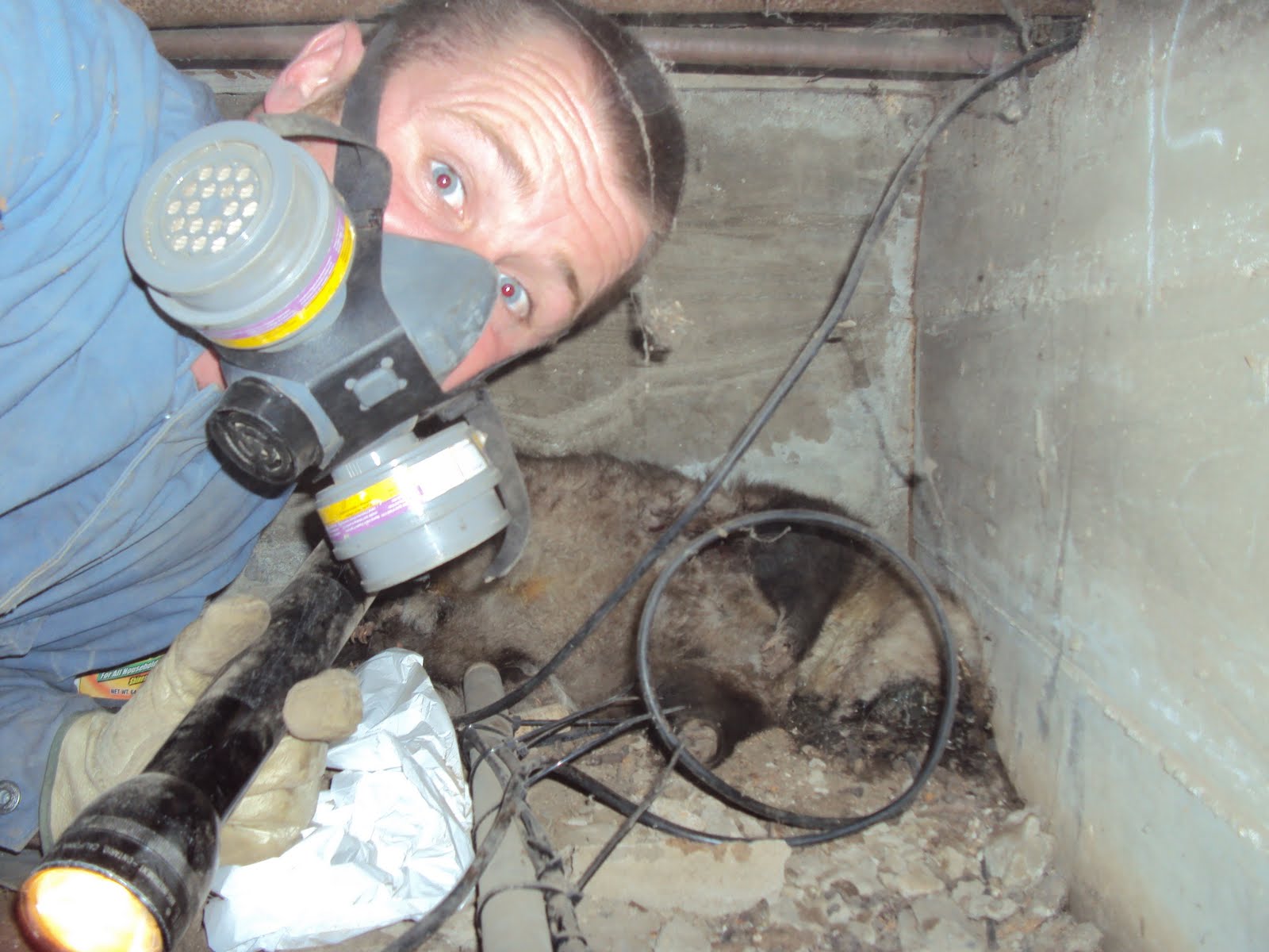 Crawl Space Inspections by Professionals in Los Angeles & Orange ...