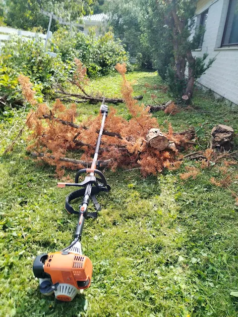 #Tampere #Ylöjärvi #pihatyöt #Stihl #kombikoneilla kuolleet #marjakuuset #nurin #lankaleikkureilla heinikot ruohikot talonmiespalvelu@gmail.com 10.7.2025 pic5