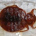 Genius! How to figure out if you should really do prevention for Bed Bugs