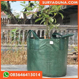 Planter Bag 100liter Murah 