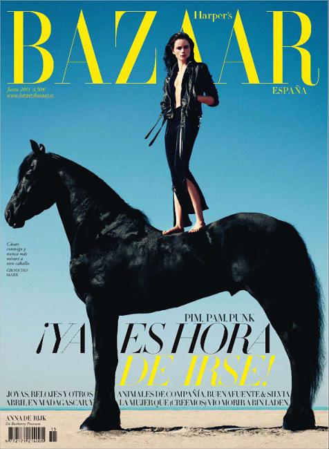 Harper's Bazaar Horse Cover