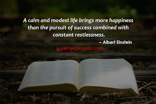 "A calm and modest life brings more happiness than the pursuit of success combined with constant restlessness."