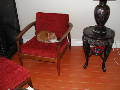 Parlor chair in Auburn house