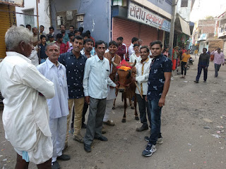 दिपावली के पावन पर्व को ग्रामीणों द्वारा हर्षोल्लास से मनाया गया